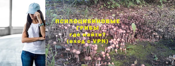 прущая мука Мегион